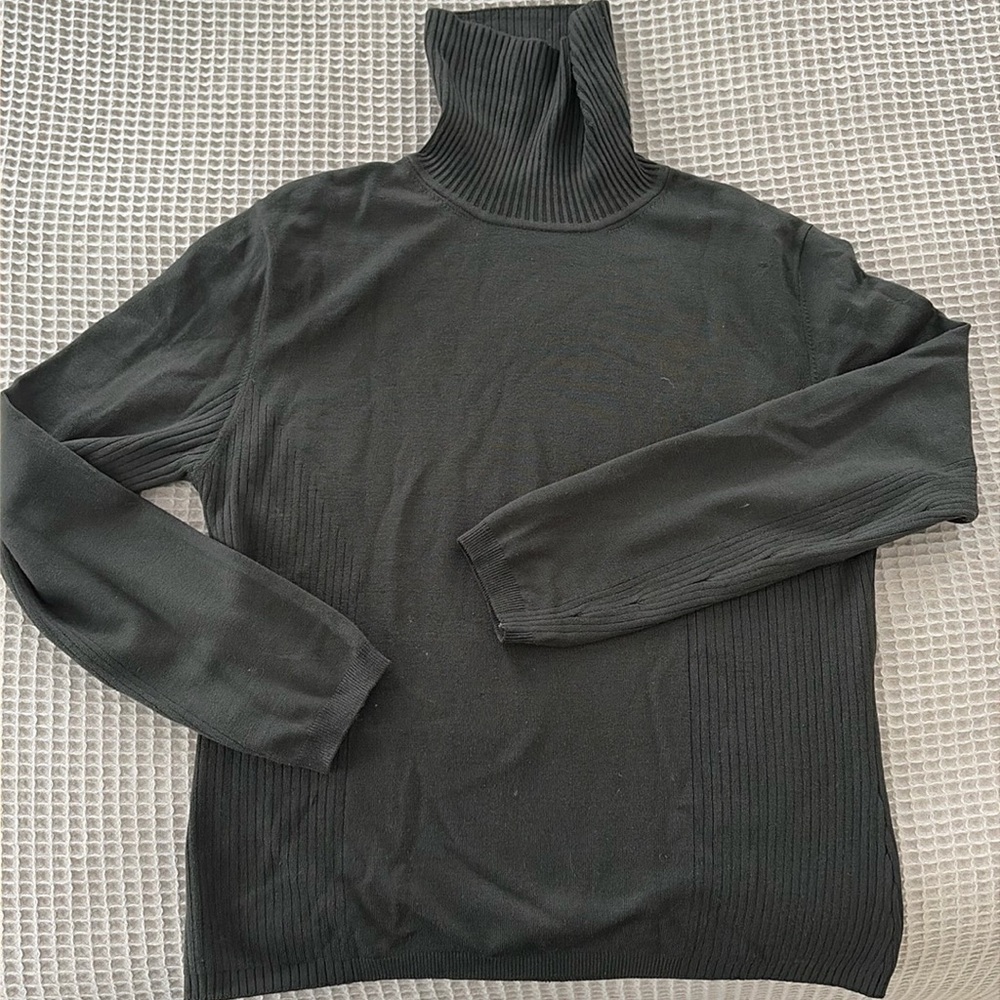 Beautiful Jax turtleneck sweater